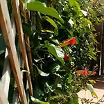Le Quattro Rose * Aci Castello